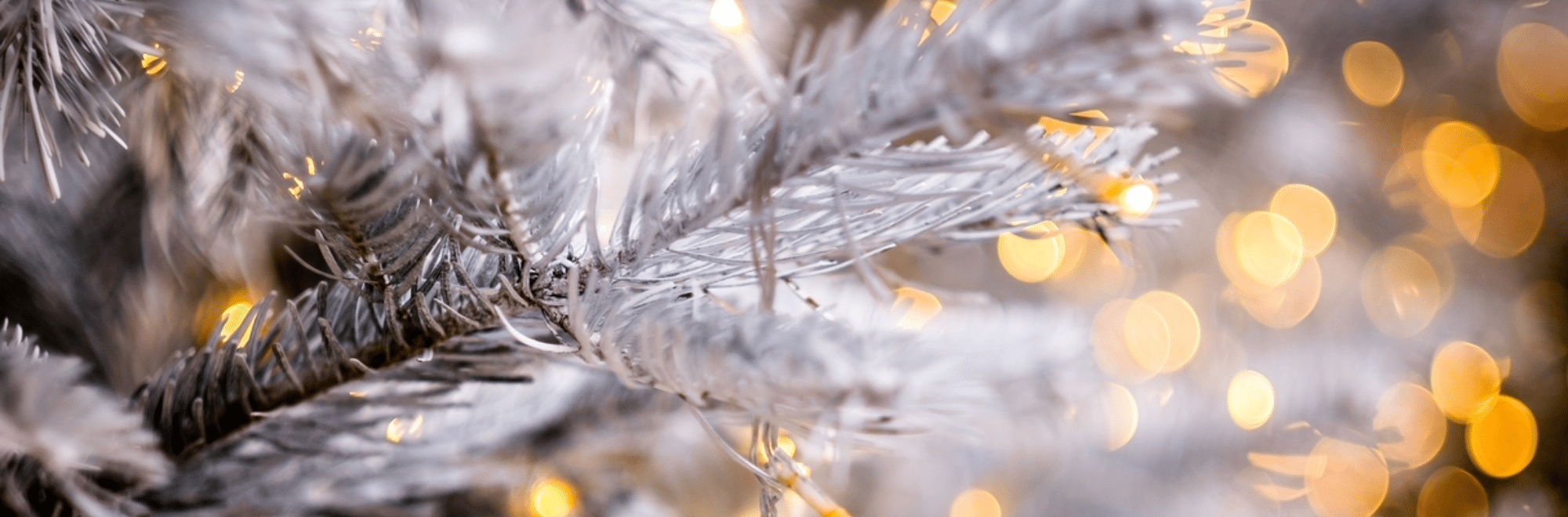Holiday tree branch with lights